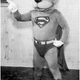 Illustration for article titled Twelve Comic Book TV Shows That Were Never Made